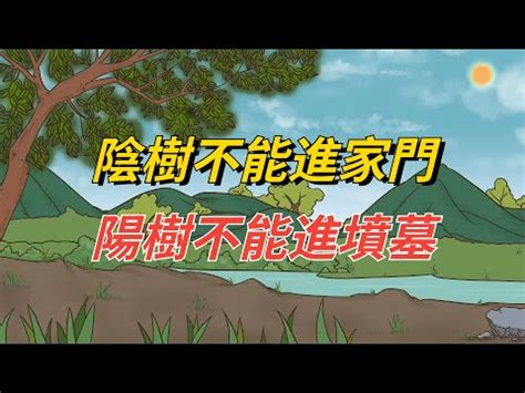 陽樹 陰樹|庭院樹木選擇指南